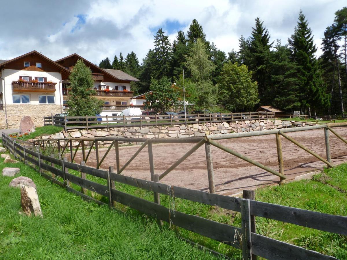 Hotel Reiterhof Edelweiss San Genesio Atesino Exteriér fotografie